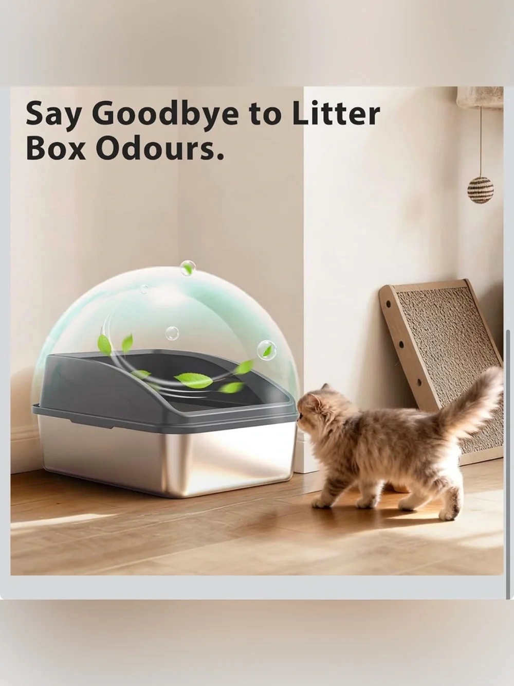New Open Box High Sided, Low Entry Small Cats or Injured Cats | Bunny Litter Box